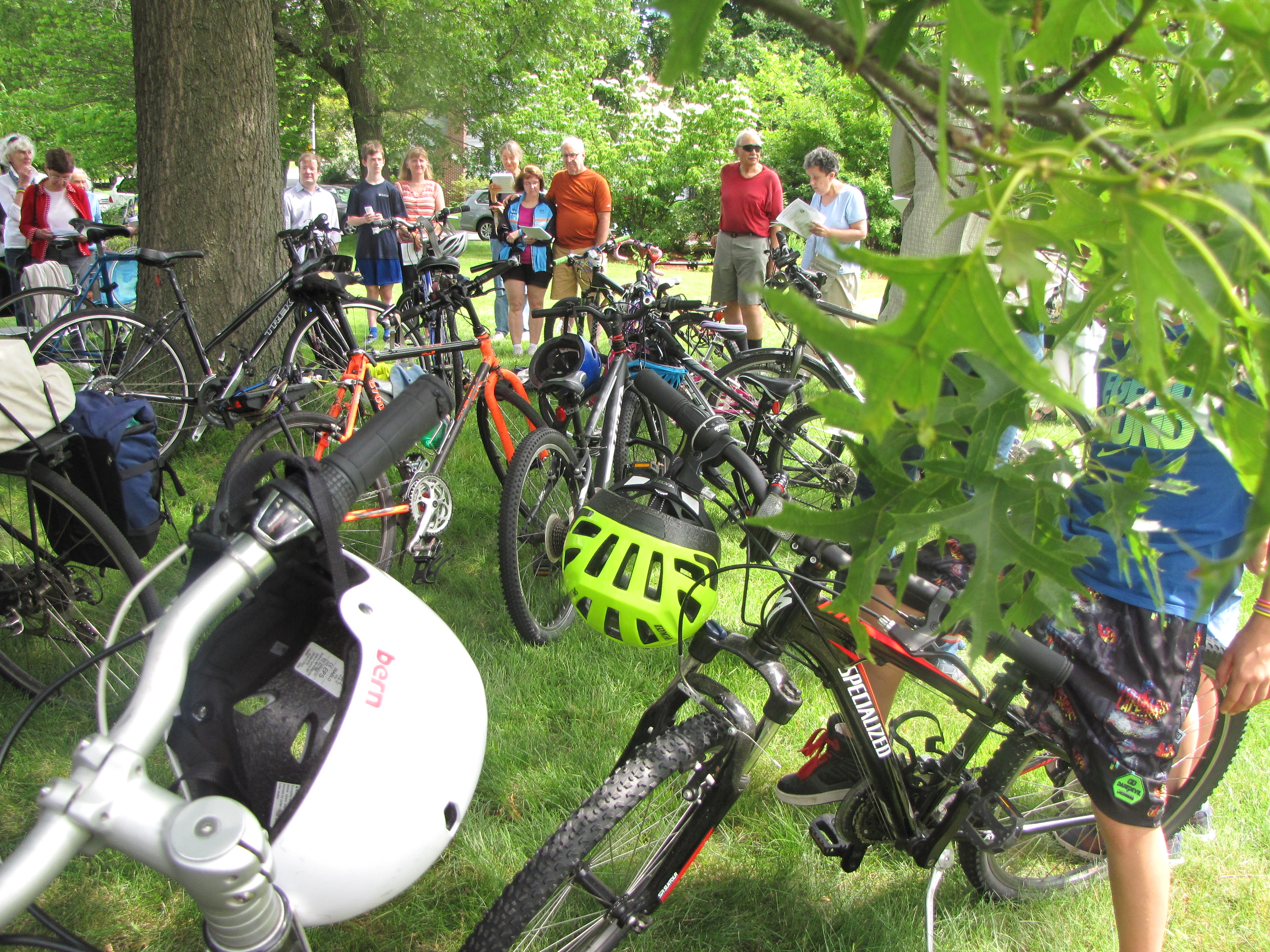 bikes